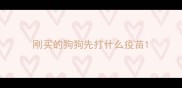 刚买的狗狗先打什么疫苗