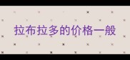拉布拉多的价格一般