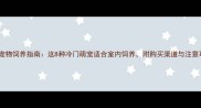 另类宠物饲养指南这8种冷门萌宠适合室内饲养附购买渠道与注意事项