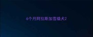 6个月阿拉斯加雪橇犬