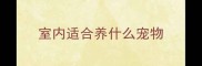 室内适合养什么宠物