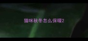 猫咪秋冬怎么保暖
