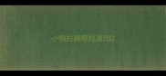 小狗拉稀呕吐原因