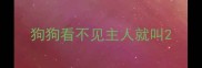 狗狗看不见主人就叫