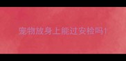 宠物放身上能过安检吗