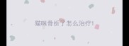 猫咪骨折了怎么治疗
