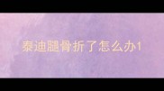 泰迪腿骨折了怎么办