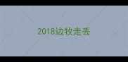 2018边牧走丢