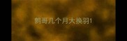 鹩哥几个月大换羽