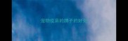 宠物疫苗的牌子的好处