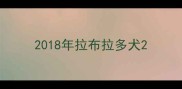 2018年拉布拉多犬