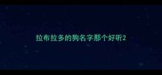 拉布拉多的狗名字那个好听