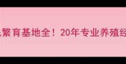 许昌金毛繁育基地全20年专业养殖经验分享