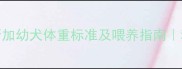 5个月阿拉斯加幼犬体重标准及喂养指南科学养宠必看