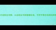 泰迪犬选购全攻略从血统证书到健康标准手把手教你选到纯种泰迪