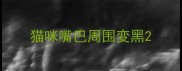 猫咪嘴巴周围变黑