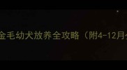 新手必看金毛幼犬放养全攻略附4-12月分阶段指南