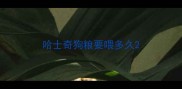 哈士奇狗粮要喂多久