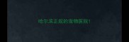 哈尔滨正规的宠物医院