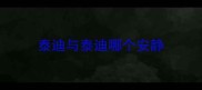 泰迪与泰迪哪个安静