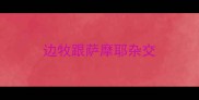 边牧跟萨摩耶杂交