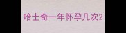 哈士奇一年怀孕几次