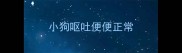 小狗呕吐便便正常