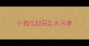 小狗总放屁怎么回事