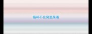 猫咪不在窝里呆着