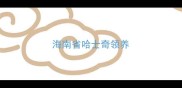 海南省哈士奇领养