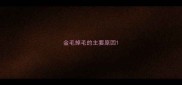 金毛掉毛的主要原因