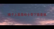 镜子上面是哈士奇下面是狼