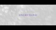 边牧大城市可以养吗