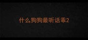 什么狗狗最听话乖