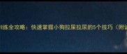 幼犬排泄训练全攻略快速掌握小狗拉屎拉尿的5个技巧附训练视频