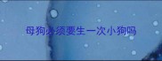 母狗必须要生一次小狗吗