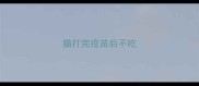 猫打完疫苗后不吃