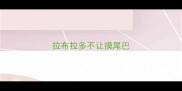拉布拉多不让摸尾巴