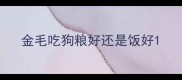 金毛吃狗粮好还是饭好
