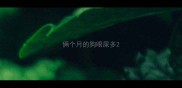 俩个月的狗眼屎多