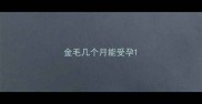 金毛几个月能受孕
