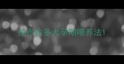 拉布拉多犬孕期喂养法