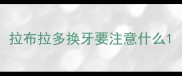 拉布拉多换牙要注意什么