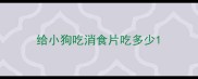 给小狗吃消食片吃多少