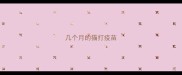 几个月的猫打疫苗