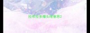 拉布拉多爆头啥意思