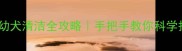 两个月泰迪幼犬清洁全攻略手把手教你科学护理小奶狗