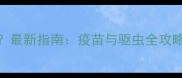 狗狗疫苗能驱虫吗最新指南疫苗与驱虫全攻略附科学时间表