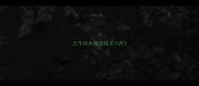 三个月大母边牧才八斤