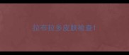 拉布拉多皮肤检查